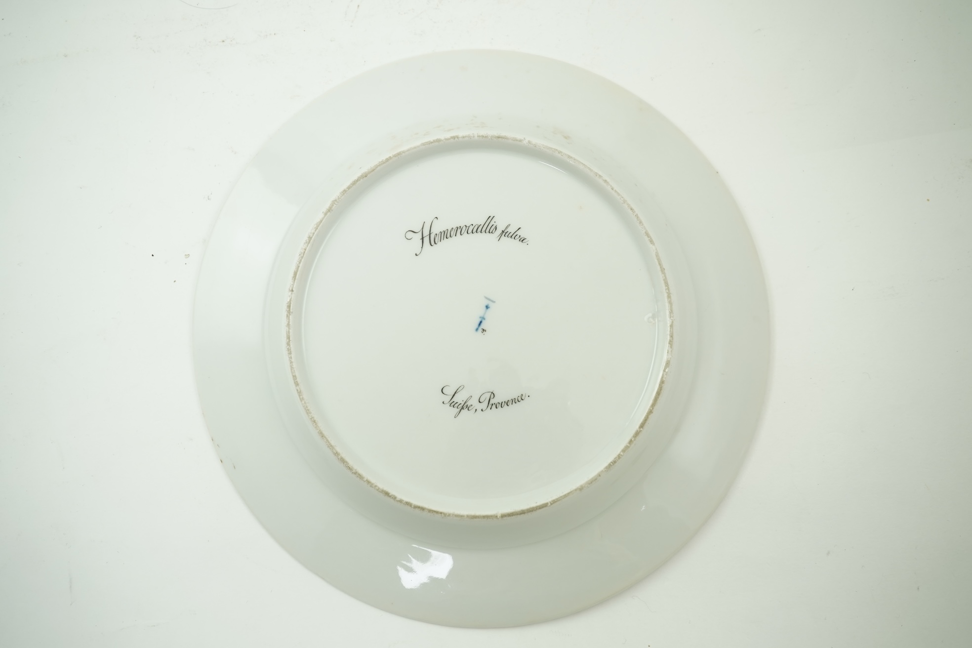 A KPM Berlin Orange day-lily botanical specimen plate, c.1806-9